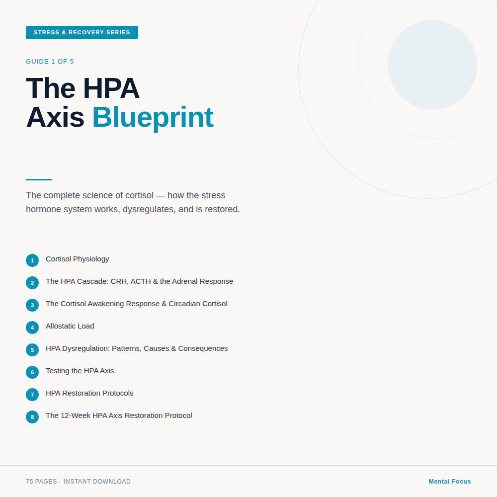 The HPA Axis Blueprint