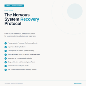 The Nervous System Recovery Protocol