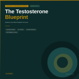 The Testosterone Blueprint